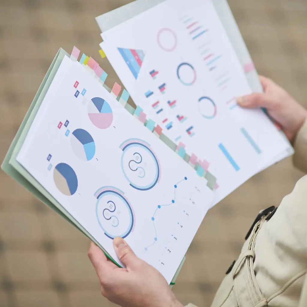 Demographic charts of data gathered from analytics
