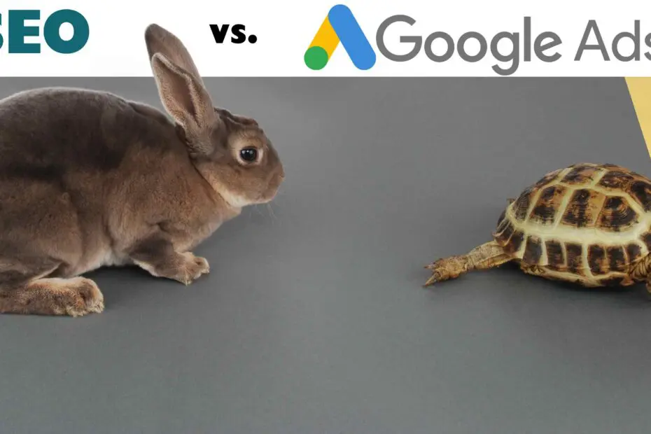 Google ads vs seo tortoise and hare graphic
