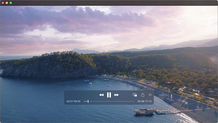 travel agent video