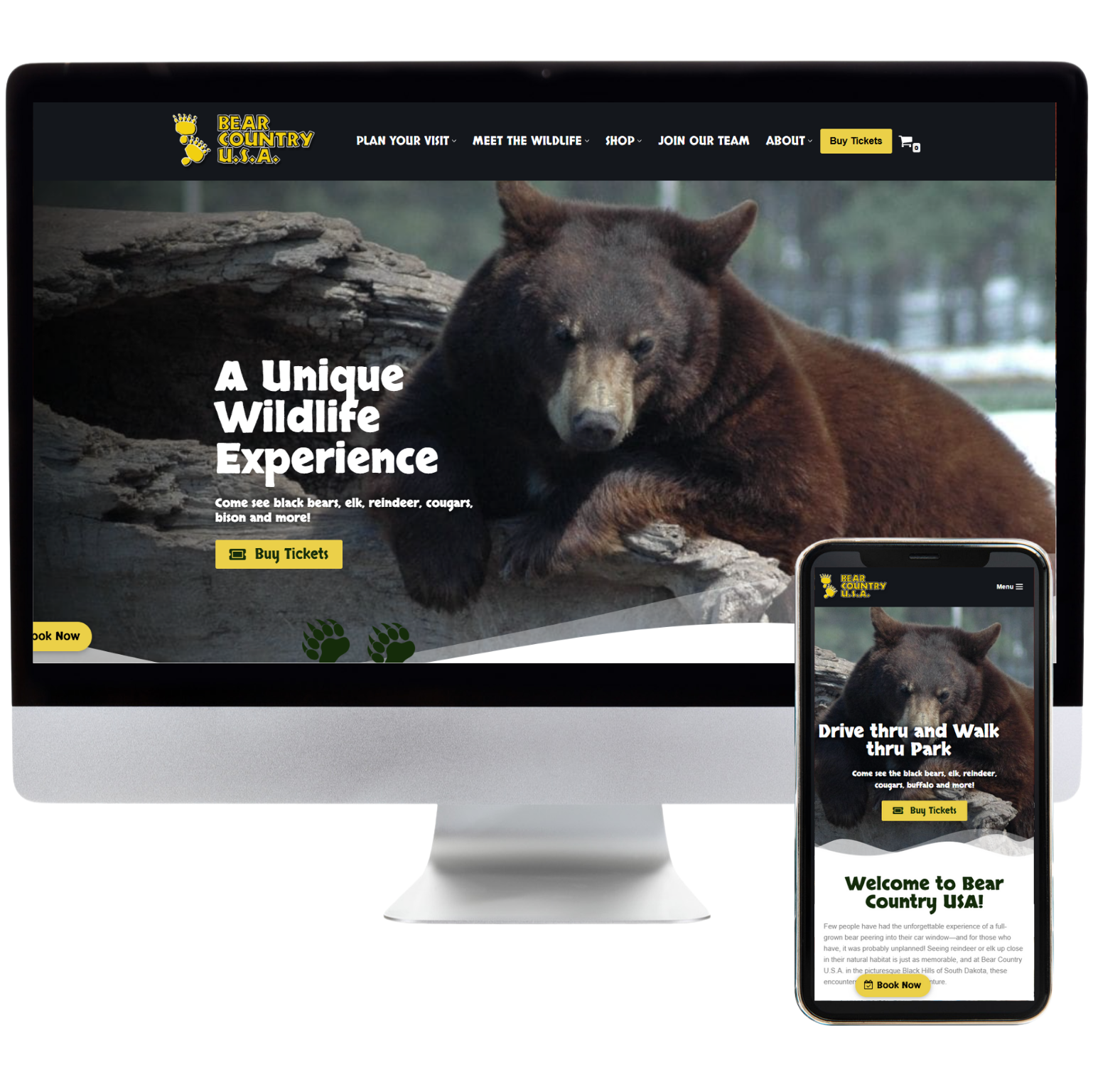 Bear Country Website Design Sample