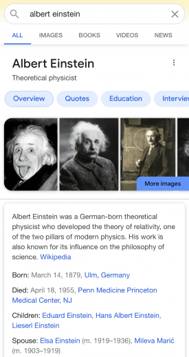 albert einstein google search