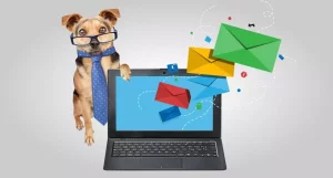 Dog with leg on computer sending emails
